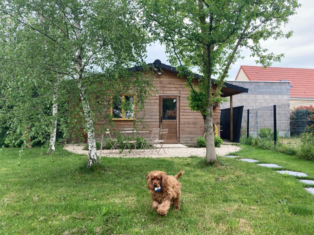 Chalet Proche Orleans Centre Сен-Жак-Ле-Блан Экстерьер фото