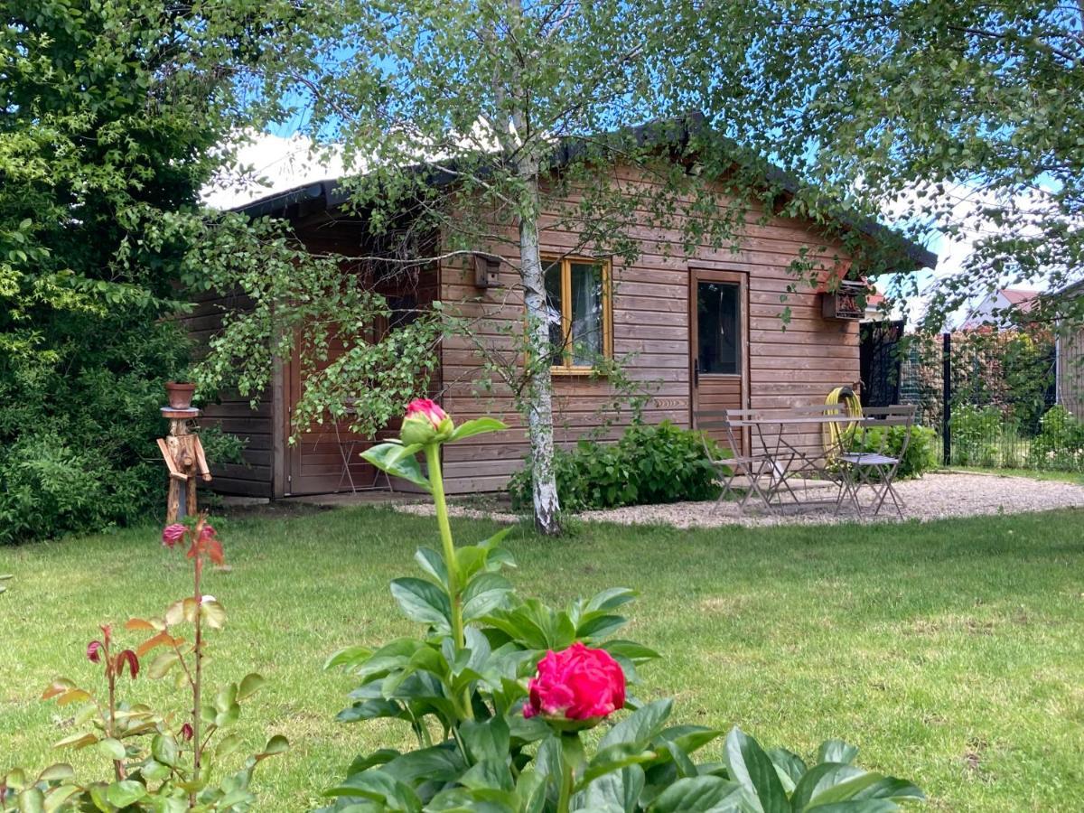 Chalet Proche Orleans Centre Сен-Жак-Ле-Блан Экстерьер фото